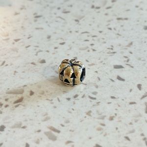 RETIRED Authentic Pandora Charm